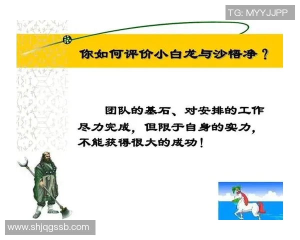 杭州网球队在杯赛中的团队协作表现分析与启示