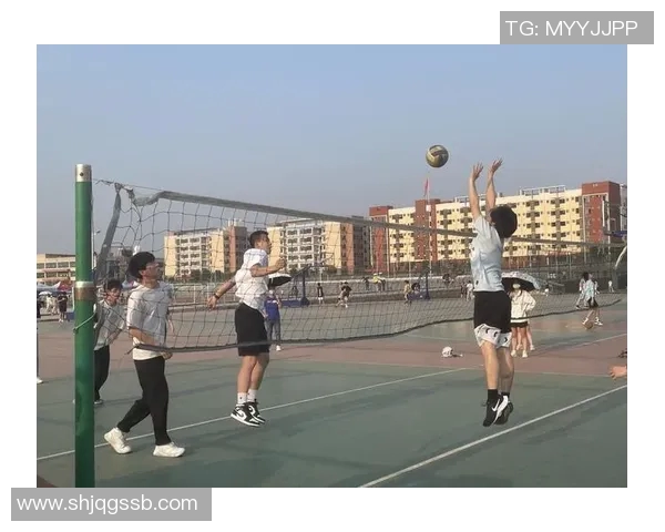 杭州排球队心理素质提升之路:热议排球背后的心灵变革与团队协作 杭州排球队心理素质提升之路:热议排球背后的心灵变革与团队协作