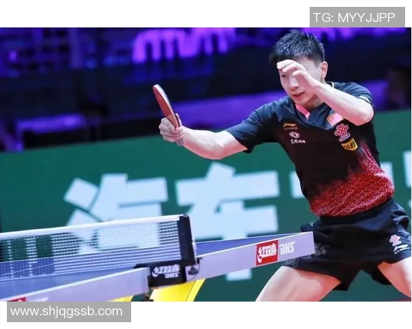 成都排球队战术表现深度解析与大满贯点评 成都排球队战术表现深度解析与大满贯点评