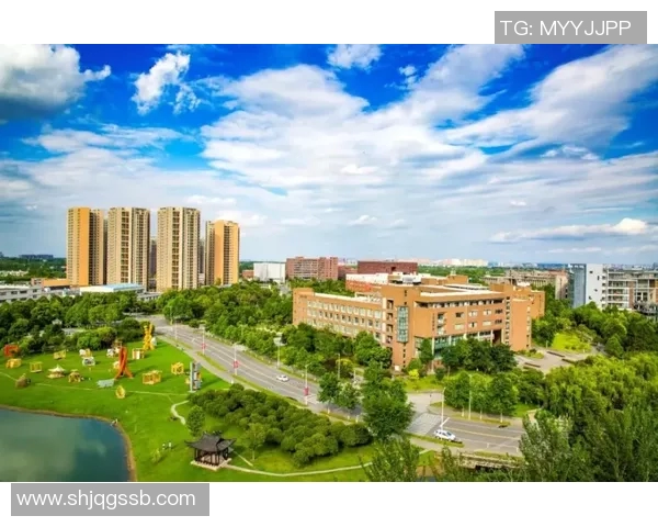 挪威足球明星的崛起与他们在国际赛场上的表现分析