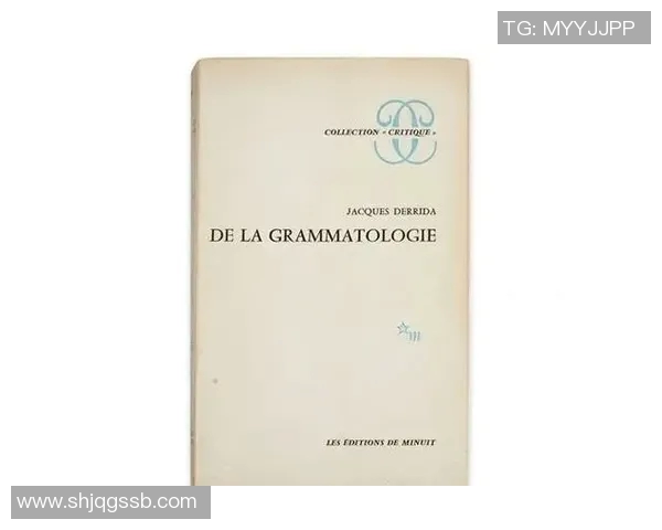 深度对话：周伟的足球旅程与人生哲学探索