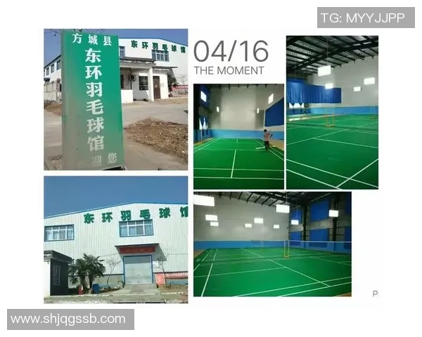 广州羽毛球队区域防守创新探索与战术升级全景分析