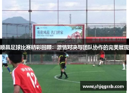 顺昌足球比赛精彩回顾：激情对决与团队协作的完美展现
