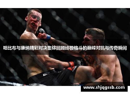 哈比布与康纳精彩对决集锦回顾终极格斗的巅峰对抗与传奇瞬间